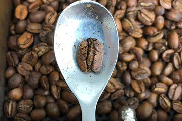 ¿Qué es el proceso natural en café?