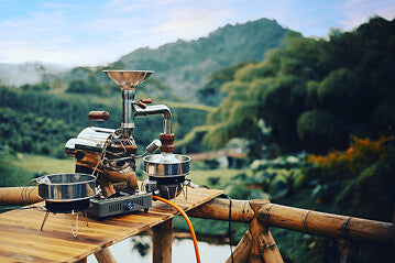 Proceso 101 de café: lavado, natural y honey
